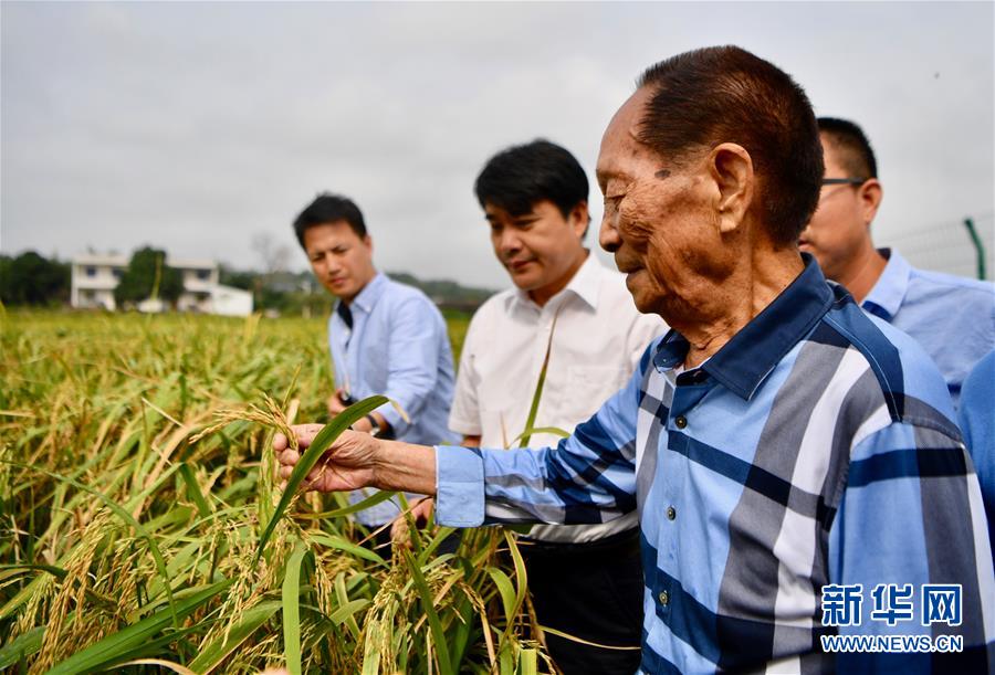 （新華視點(diǎn)·圖文互動(dòng)）（2）國(guó)家科技獎(jiǎng)3項(xiàng)授予“水稻科學(xué)家”，預(yù)示百姓飯碗將發(fā)生哪些革命？