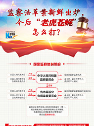 監察法草案新鮮出爐 今后“老虎蒼蠅”怎么打？