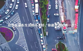 在浦東生活的小美好 你最想遇見哪一個？