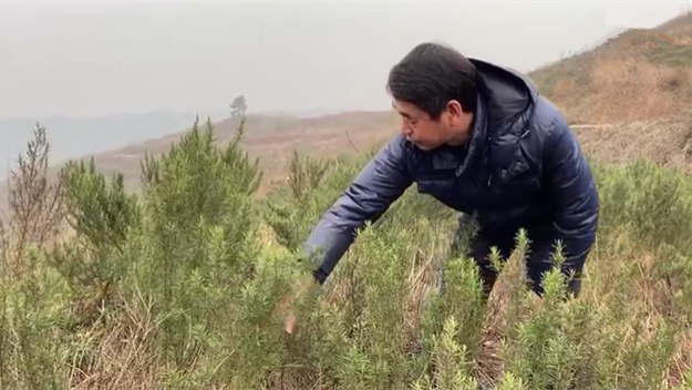 新春走基層｜脫貧后，駐村扶貧隊長在干啥？